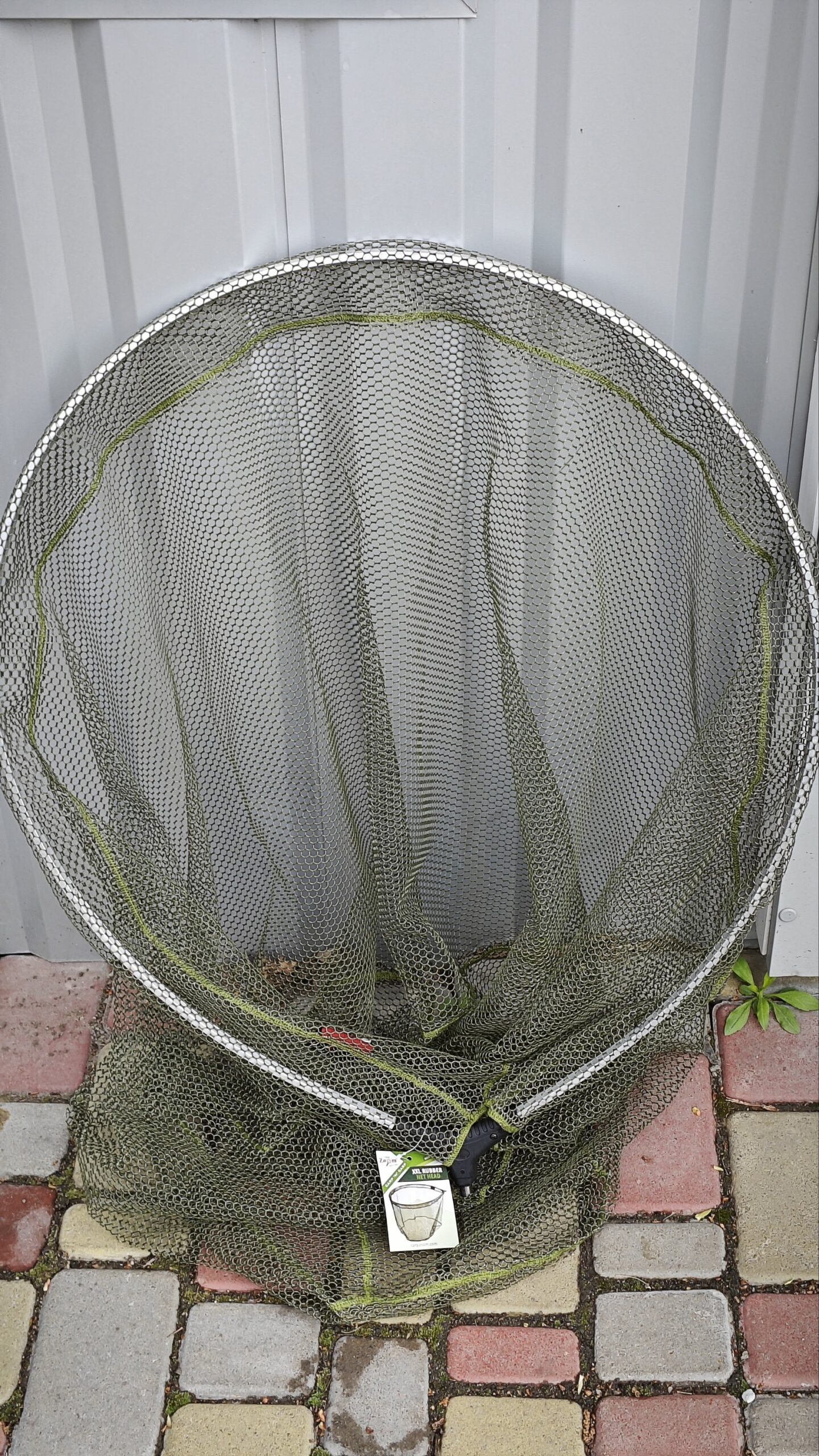 2024/04/1000004121-1-scaled.jpg