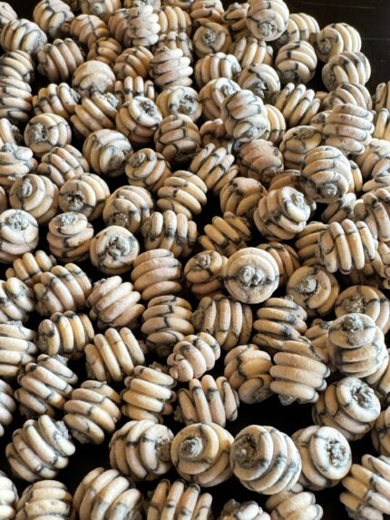 Поп - Апи Трініті Snaill 5*8 mm
Нектар